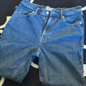 Everlane Cropped Denim Skinny Jeans